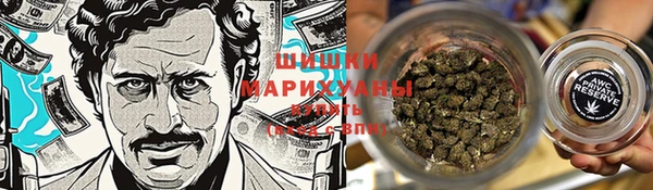 прущие грибы Дмитриев