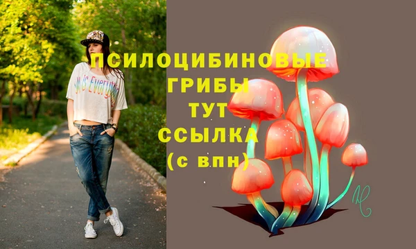 mdpv Ельня