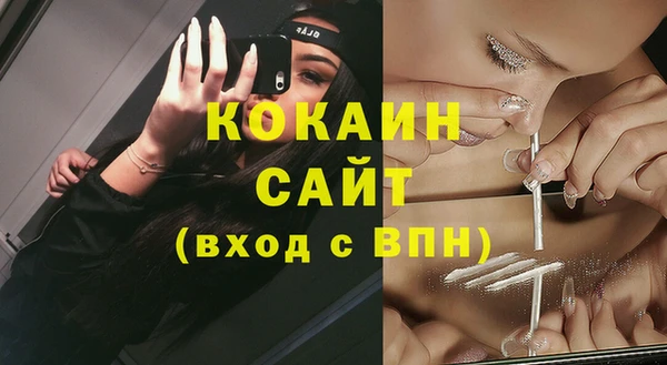 mdpv Ельня